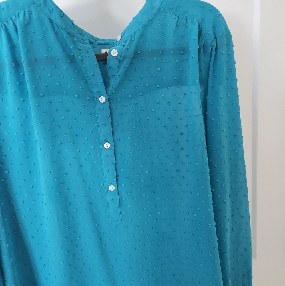 J CREW long sleeve clip dot blouse